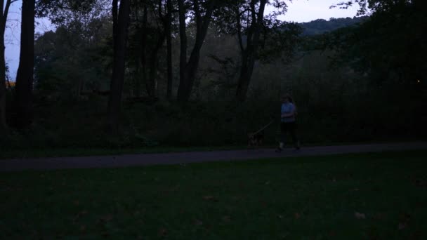 Jonge Vrouw Wandelingen Haar Hond Een Park Alleen Nachts — Stockvideo