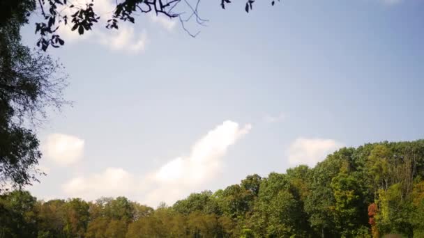 秋の森シリーズ 美しい秋の森寝返り雲のタイムラプス — ストック動画