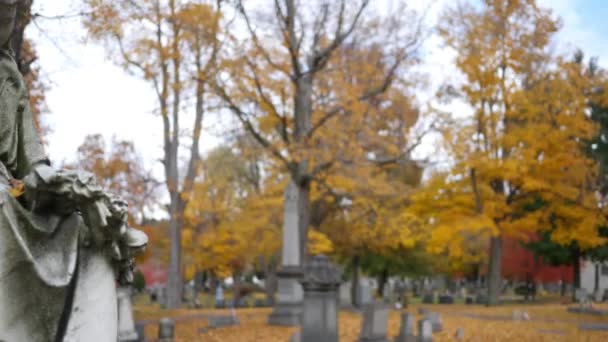秋日下午在公墓里禁止到坟墓天使装饰 — 图库视频影像