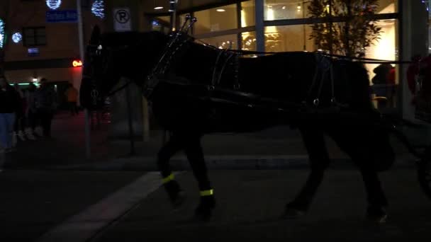 Pittsburgh Περίπου Νοεμβρίου 2018 Άλογο Βόλτα Άμαξα Στο Πίτσμπουργκ — Αρχείο Βίντεο