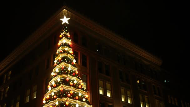 Een Donkere Flatgebouw Met Heldere Gloeiende Kerstboom — Stockvideo