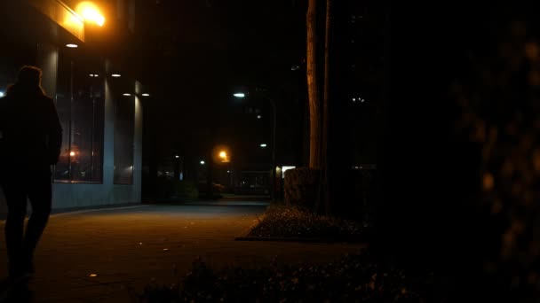 공원에 어두운 한적한 — 비디오