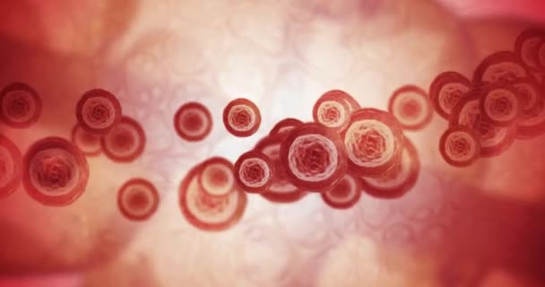 Cellule Del Sangue Che Iniziano Coagulare Insieme Coagulare Flusso Sanguigno — Video Stock