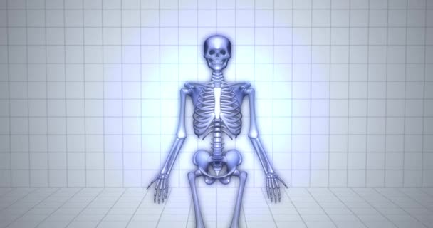 Переход Скелетону Концепция Анатомии Человека Анимация Ребер — стоковое видео