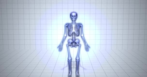 Animation Squelette Médical Radius Bone — Video