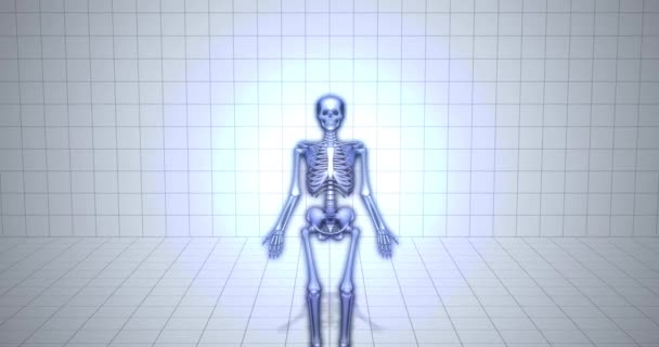 Animációs Orvosi Csontváz Animáció Lapocka Csont — Stock videók