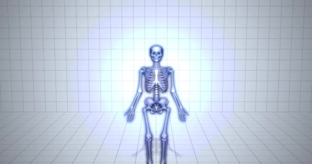 Animación Esqueleto Médico Animado Sternum Bone — Vídeo de stock