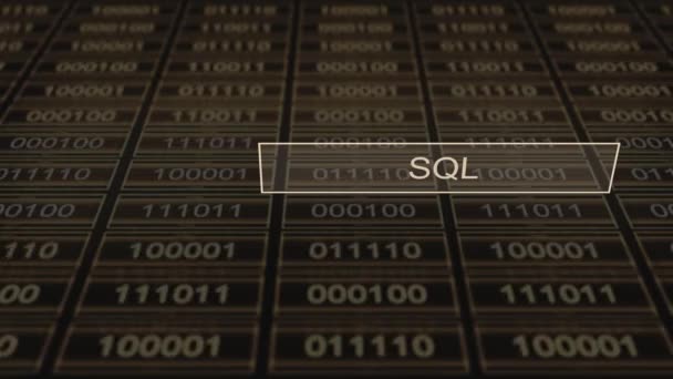 Serie Schede Digitali Del Computer Sql — Video Stock