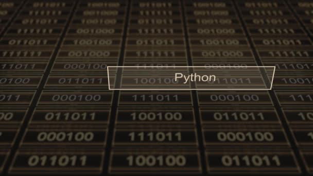 Computer Digital Tab Serie Python — Stockvideo