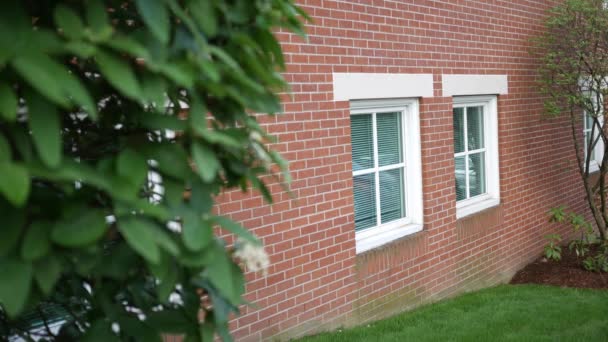 Oprichting Van Shot Van Eerste Verdieping Medical Office Window — Stockvideo