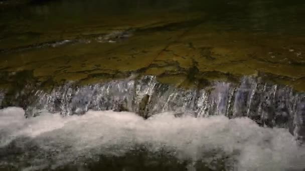 Маленький Водопад Ручье Заросшем Районе Днем Весной Alt — стоковое видео