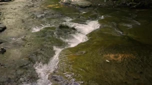 Pequena Cachoeira Riacho Área Florestada Tarde Primavera — Vídeo de Stock