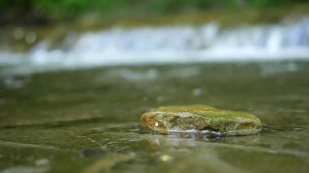 Malý Vodopád Malém Potoku Zalesněné Oblasti Popředí — Stock video