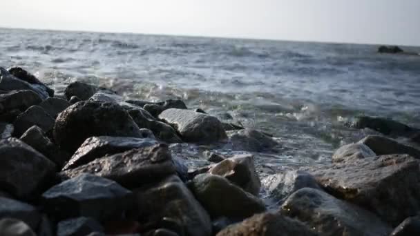 Vågor Krasch Mot Klippor Nära Strand Sommaren — Stockvideo