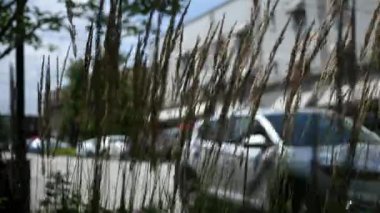 Alışveriş merkezi çıkışı önünde esen Sinematik Ön Plan çim