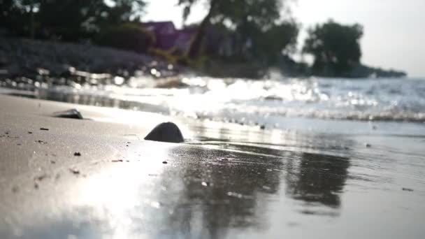 Piękne Fale Filmowe Roll Plaży Lecie Pobliżu Nadmorskiej Społeczności — Wideo stockowe