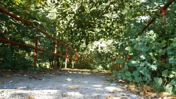 Passage Kreek Een Brug Late Zomer Vroege Herfst — Stockvideo