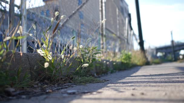 Chain Link Fence Gritty Urban Area — Stock Video