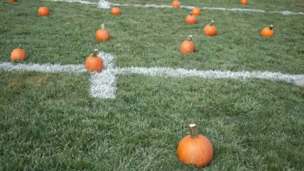 Pumpkin Patch Football Field September 2019 — Stock Video