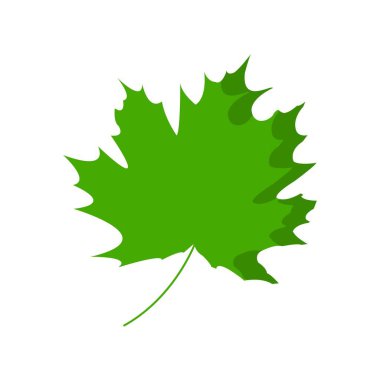 Akçaağaç yaprağı şeffaf bir arka plan üzerinde izole. Basit tasarım. Vektör çizim