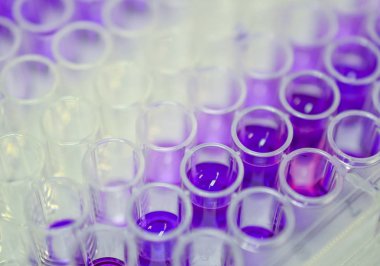 96 de mikro titrasyon plaka Wells resmi kapatın.