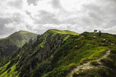 Gezginler Karpat dağlarında yürüyüş yapıyorlar.