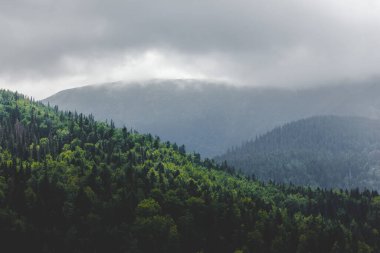 Manzaralı orman ve dağlardaki güzel ışık