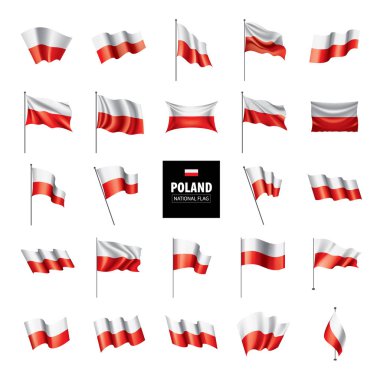 Polonya bayrağı, vektör illüstrasyonu