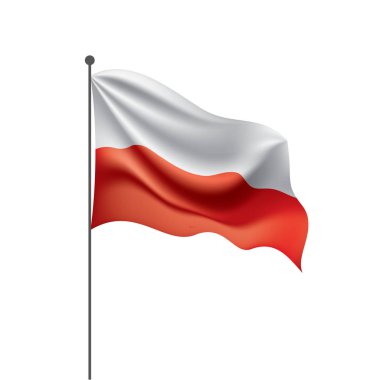 Polonya bayrağı, vektör illüstrasyonu