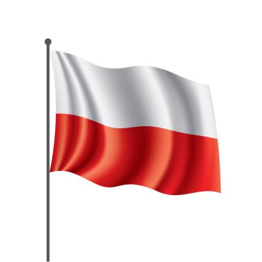Polonya bayrağı, vektör illüstrasyonu