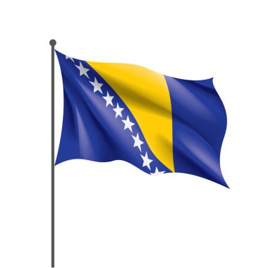Bosna-Hersek bayrağı, vektör çizim