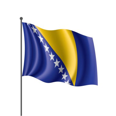 Bosna-Hersek bayrağı, vektör çizim