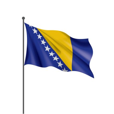 Bosna-Hersek bayrağı, vektör çizim
