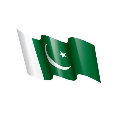 Pakistan bayrağı, beyaz arkaplanda vektör illüstrasyonu