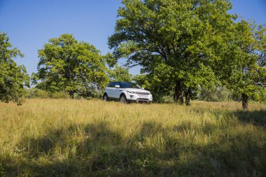 Car Land Range Rover yazın güneşli bir havada Rusya 'nın Samara bölgesinde yaz mevsiminde. 21 Ağustos 2018