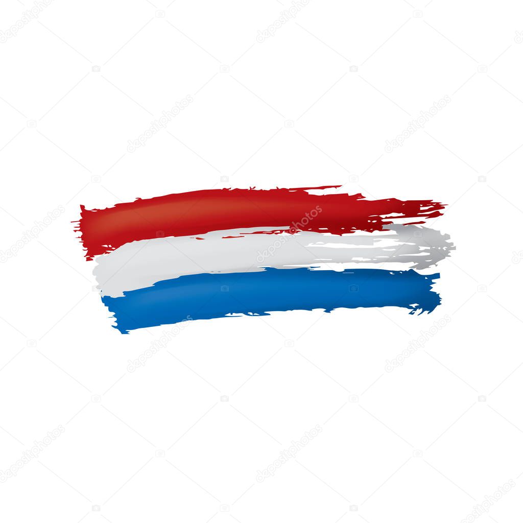 Netherlands flag, vector illustration on a white background