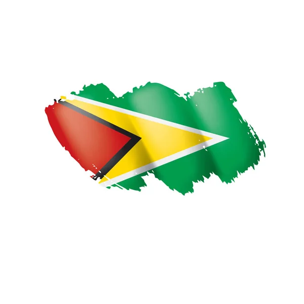 Guyana flagga, vektor illustration på en vit bakgrund. — Stock vektor