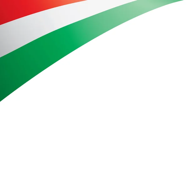 匈牙利国旗，白色背景上的矢量插图 — 图库矢量图片