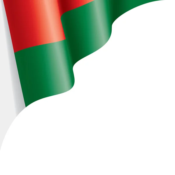 Bandera de Madagascar, ilustración vectorial sobre fondo blanco — Archivo Imágenes Vectoriales