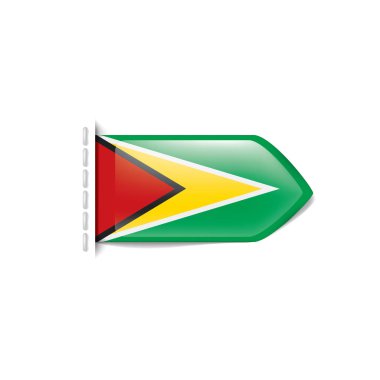 Guyana bayrağı, beyaz arkaplanda vektör illüstrasyonu