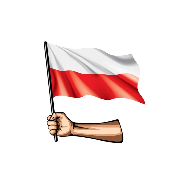 Polska flaga i ręka na białym tle. Ilustracja wektorowa — Wektor stockowy