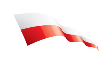 Polonya bayrağı, beyaz arkaplanda vektör illüstrasyonu
