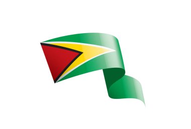 Guyana bayrağı, beyaz arkaplanda vektör illüstrasyonu