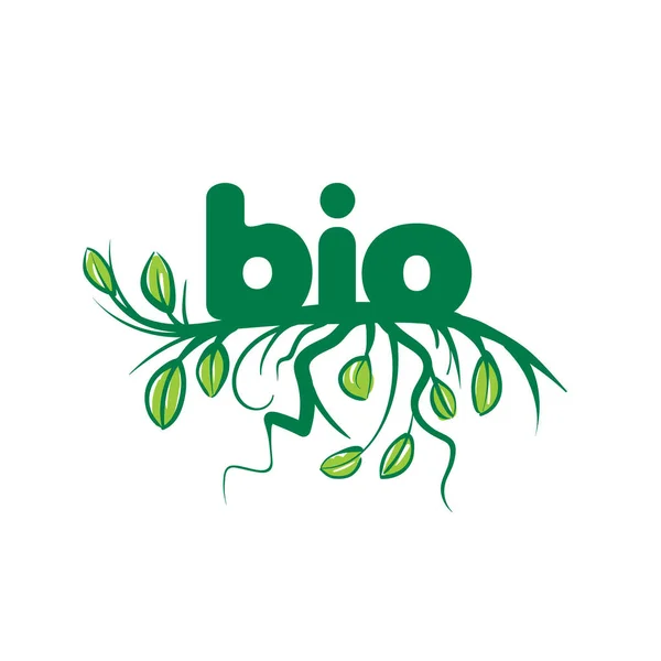 Bio znamení v podobě listí a trávy. Vektorové ilustrace na bílém pozadí. — Stockový vektor