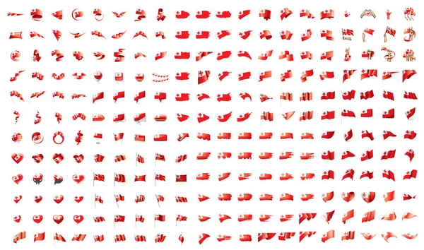 Zeer grote verzameling van vector vlaggen van de Tonga — Stockvector