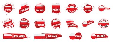 Polonya bayrağı, beyaz arkaplanda vektör illüstrasyonu