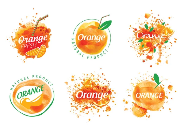 Vector logo jugo de naranja salpicadura sobre fondo blanco — Vector de stock