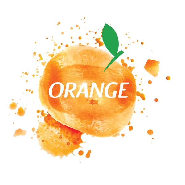 Vector logo jugo de naranja salpicadura sobre fondo blanco — Vector de stock