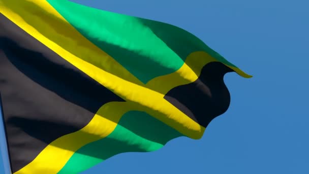 La bandera nacional de Jamaica ondea en el viento contra un cielo azul — Vídeos de Stock