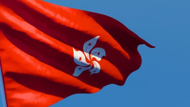 The national flag of Hong Kong flutters in the wind against a blue sky — Stock Video